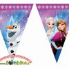 Plastikinės vėliavėlės „Frozen“