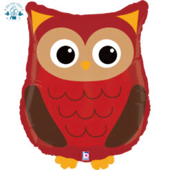 Folinis balionas su heliu "Pelėda" 1 vnt.