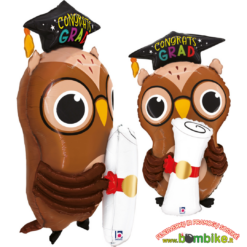 Folinis balionas "Išleistuvių pelėdžiukas"